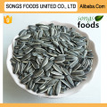 Sunflower Seeds Market Price and Chinese Sunflower Seeds